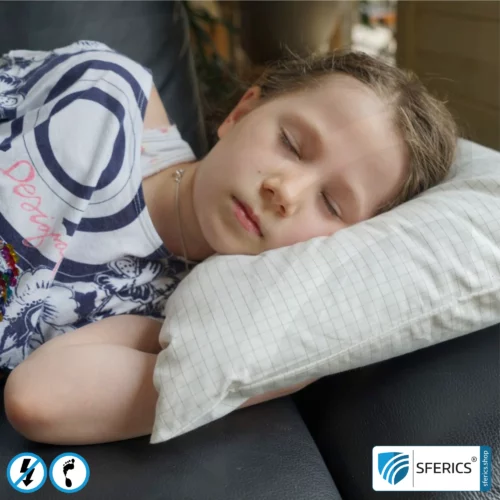 Sofakissen GROSS | 60 x 40 cm | Abschirmung niederfrequenter elektrischer Wechselfelder | ermöglicht Erdkontakt* | Nicht geeignet zur Abschirmung von WLAN, LTE, 5G, usw.! 8 Sofakissen | Abschirmung niederfrequenter elektrischer Wechselfelder | ermöglicht Erdkontakt* | Nicht geeignet zur Abschirmung von WLAN, LTE, 5G, usw.!